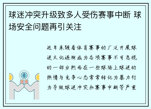 球迷冲突升级致多人受伤赛事中断 球场安全问题再引关注