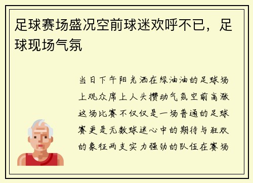 足球赛场盛况空前球迷欢呼不已，足球现场气氛