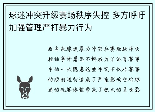 球迷冲突升级赛场秩序失控 多方呼吁加强管理严打暴力行为